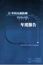 中国无损检测2013年度报告