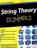 String Theory For Dummies