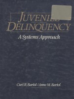 Juvenile delinquency  a systems approach