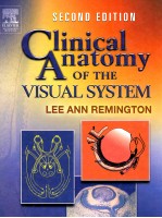 Clinical Anatomy of the Visual System