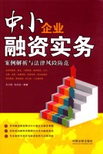 中小企业融资实务  案例解析与法律风险防范