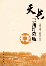 天长三角圩墓地