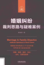 婚姻纠纷  裁判思路与疑难案例  2018版