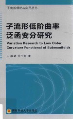 子流形低阶曲率泛函变分研究