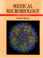 Medical microbiology