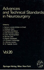 Advances and Technical Standards in Neurosurgery  Vol. 20