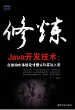 修炼Java开发技术  在架构中体验设计模式和算法之美