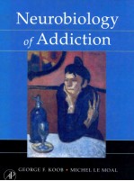 Neurobiology of Addiction