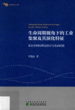 生命周期视角下的工业集聚及其演化特征  来自中国的理论探讨与实证检验