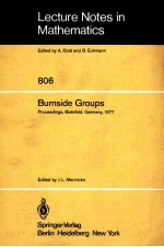 BURNSIDE GROUPS