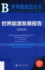 世界能源发展报告  2015