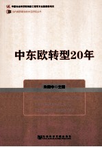 中东欧转型20年