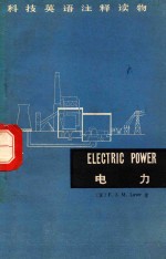 电力  ELECTRIC POWER