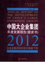 中国大企业集团年度发展报告  2012