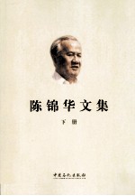 陈锦华文集  下