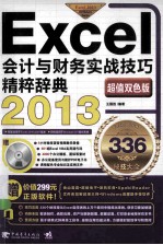 Excel会计与财务实战技巧精粹辞典  2013  超值双色版