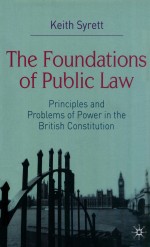 THE FOUNDATIONS OF PUBLIC LAW  PRINCIPLES AND PROBLEMS OF POWER IN THE BRITISH CONSTITUTION