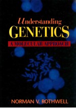 Understanding genetics :  a molecular approach