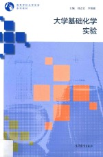 高等学校化学实验系列教材  大学基础化学实验