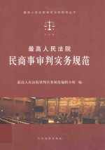 最高人民法院民商事审判实务规范