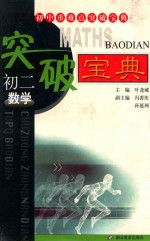 初中重难点突破宝典  初二数学  第2版