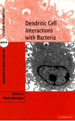 Dendritic cell interactions with bacteria