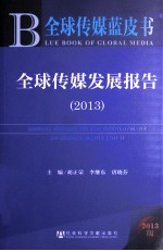 全球传媒发展报告  2013