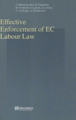 Effective enforcement of EC labour law