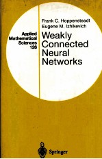 WEAKLY CONNECTED NEURAL NETWORKS