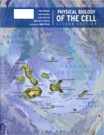 Physical biology of the cell Second edition