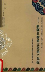 新疆非物质文化遗产集锦  第4卷  民俗