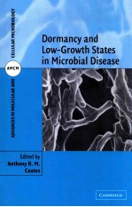 Dormancy and low-growth states in microbial disease