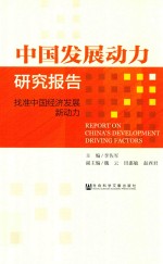 中国发展动力研究报告  找准中国经济发展新动力