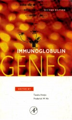 Immunoglobulin Genes