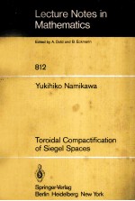 Toroidal Compactification of Siegel Spaces (Lecture Notes in Mathematics)