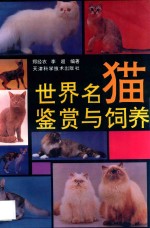 世界名猫鉴赏与饲养