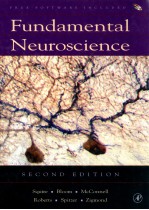 Fundamental neuroscience