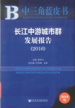 长江中游城市群发展报告  2016版