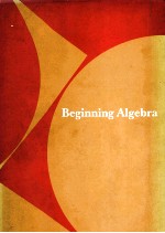 BEGINNING ALGEBRA SECOND EDITION