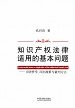 知识产权法律适用的基本问题  司法哲学、司法政策与裁判方法