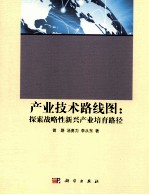 产业技术路线图  探索战略性新兴产业培育路径