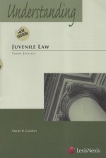 UNDERSTANDING JUVENILE LAW  THIRD EDITION