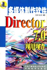 Director 7.0现用现查