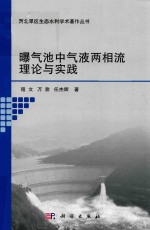 曝气池中气液两相流理论与实践