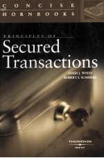 PRINCIPLES OF SECURED TRANSACTIONS