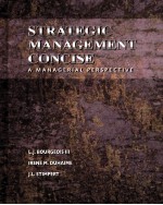 STRATEGIC MANAGEMENT CONCISE  A MANAGERIAL PERSPECTIVE