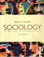 SOCIOLOGY:A BRIEF INTRODUCTION SIXTH EDITION