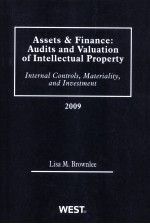 ASSETS & FINANCE:AUDITS AND VALUATION OF INTELLECTUAL PROPERTY  INTERNAL CONTROLS