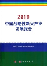 2019中国战略性新兴产业发展报告