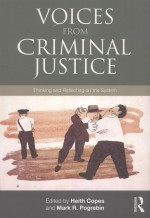 VOICES FROM CRIMINAL JUSTICE  THINKING AND REFLECTING ON THE SYSTEM